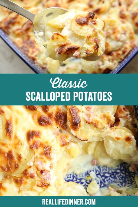 Side Dishes For Baked Ham, Old Fashioned Scalloped Potatoes, Scalloped Potatoes Without Heavy Cream, Scalloped Potatoes Without Milk, Scalloped Potatoes No Onion, Scalloped Potatoes No Cream, Scalloped Potatoes Sour Cream And Chives, Potato Sauce, Canned Potatoes