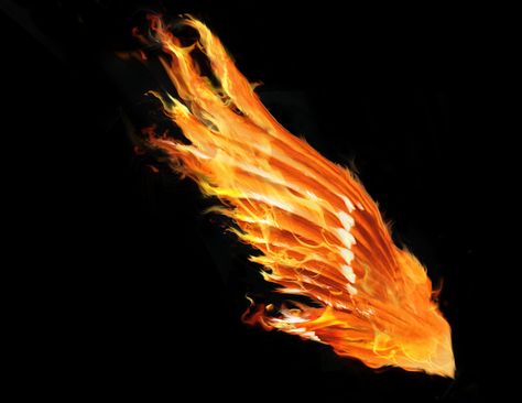 Phoenix Wings Tattoo, Alas Tattoo, Phoenix Wings, Flame Tattoos, Photoshop Digital Background, Wings Drawing, Fire Tattoo, Wing Tattoo, Wings Art