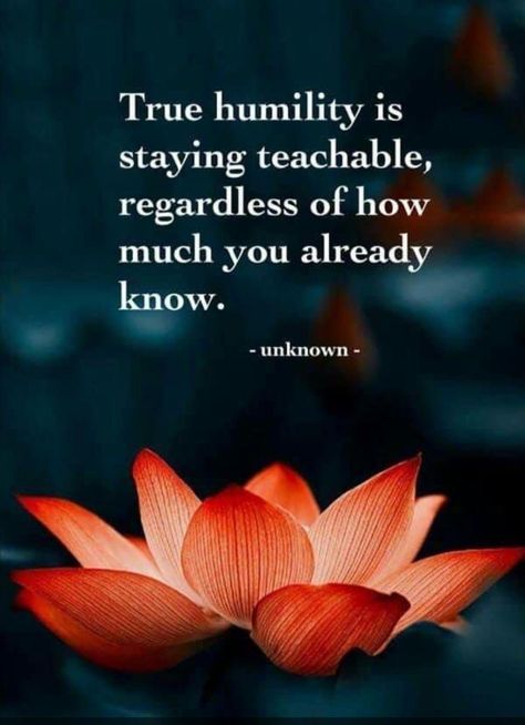 Humility Quotes Be Humble Wisdom, Humility Quotes Be Humble, Quotes On Humility, Quotes About Humility, Be Teachable, Humility Quotes, Stephen Hawking Quotes, Humble Quotes, Inspirational Life Lessons