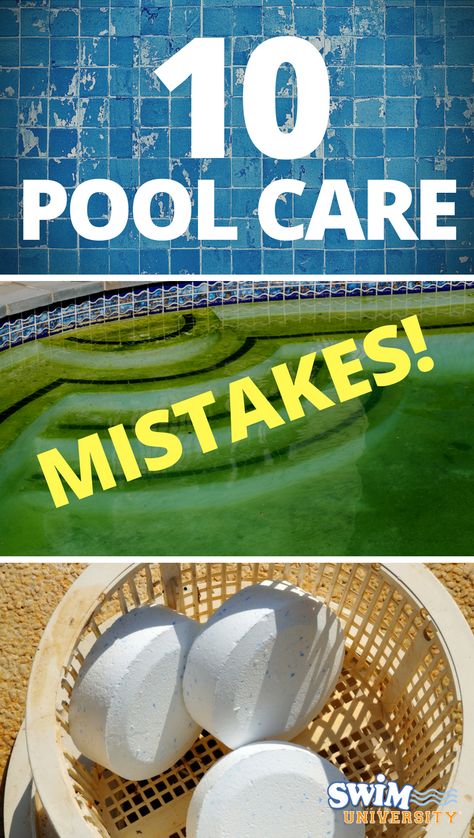 Pool Opening Tips, Planters Near Pool, Diy Pool Ideas Above Ground, Inground Pool Decor, Outdoor Pool Landscaping Ideas, Magic Eraser In Pool, Pool Care For Beginners, Pool Chemicals For Beginners, Pool Must Haves Accessories