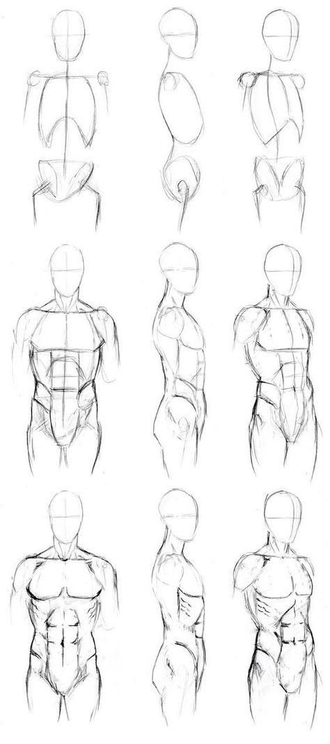 Pencil Artists, Male Body Drawing, Human Body Drawing, Human Body Art, Body Drawing Tutorial, Human Anatomy Drawing, Body Sketches, Human Figure Drawing, Tutorials Drawing