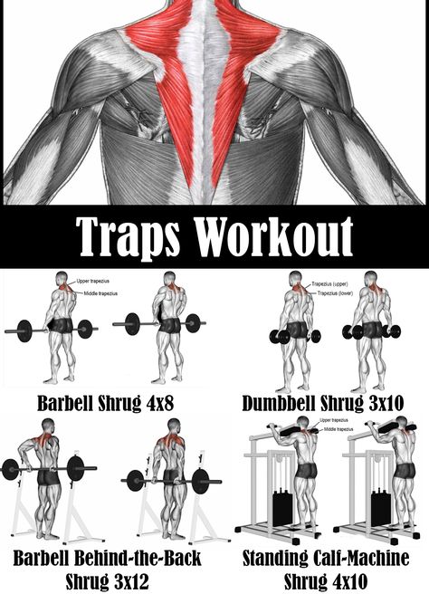 Trap Dumbell Workout, Trap Workouts For Men, Traps Workout Women, Upper Traps Workout, Trap Workout Men Exercises, Trap Workout Women, Crossfit Plan, Trap Workout, Workout Form