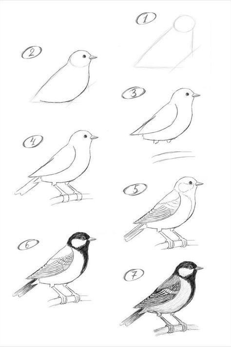 Cornspiration Animal Drawing Guide, How To Draw Birds Easy, Draw Birds Easy, Bird Doodle Art, Bird Drawings Easy, Drawing Birds Easy, Draw A Bird, Step By Step Sketches, Bird Doodle