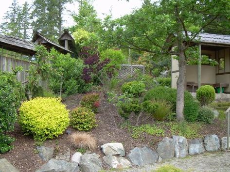 Hillside path in Japanese garden - Picture of The Gardens at ... Hillside Japanese Garden, Wild Gardens, Garden Picture, Hillside Garden, Island Pictures, Garden Pictures, Vancouver Island, Japanese Garden, Trip Advisor