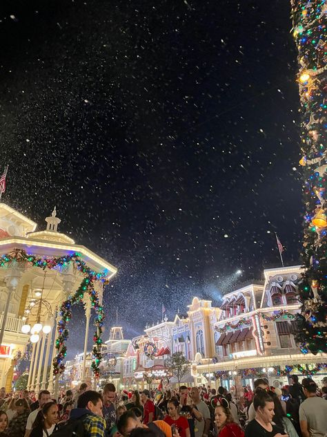 Christmas Aesthetic Disneyland, Disney At Christmas Aesthetic, Christmas Aesthetic Florida, Disney In The Winter, Christmas Parade Aesthetic, Christmas Disneyland Aesthetic, Disney World During Christmas, Disneyland Aesthetic Winter, Florida Christmas Aesthetic