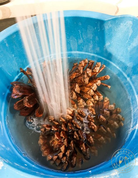 Mercury Glass Pinecones Diy, Clean Pine Cones For Crafts, Pine Cone Cleaning, Crafts Using Pine Cones Holidays, Pine Cone Snowman Craft, How To Prep Pinecones For Crafts, How To Debug Pinecones, How To Wash Pinecones, How To Dye Pinecones Red