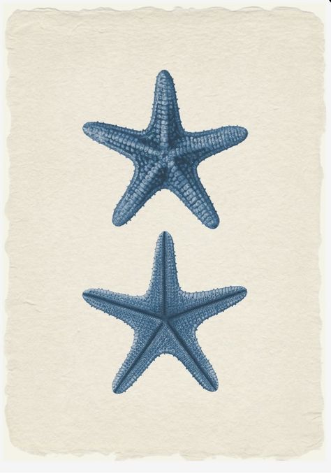 Sea Star Illustration, Blue Coral Art, Starfish Tattoo, Coastal Wallpaper, Sea Stars, Coral Art, Star Illustration, Vintage Sea, Stella Marina