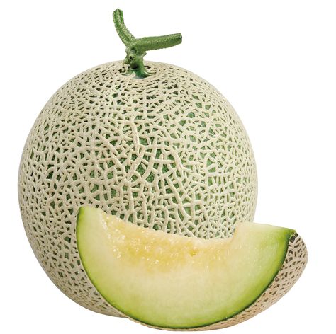 Melon Musk, Melon Pan, Potted Fruit Trees, Melon Soda, Human Digestive System, Honeydew Melon, Png Aesthetic, Green Fruit, Dried Lavender