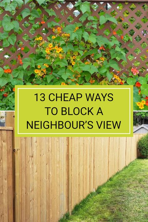 Living next to nosey neighbours can be annoying, but there are several affordable strategies to restore your privacy. From using trellis plants that offer green coverage to installing a simple corrugated iron fence, there are options that suit every Australian garden. Each method provides a great way to design your outdoor space while keeping prying eyes away. Check out our ultimate guide to find the best ways to enjoy your backyard peacefully, relying on tips that won't break the bank. Using Planters As A Fence, Raised Garden Beds Privacy Fence, Bougainvillea Wall Fence, Natural Yard Barriers, Food Growing Fence, Garden Box Along Fence Line, Fencing Privacy Ideas, Cheapest Diy Privacy Fence, Ideas For Fences Backyards