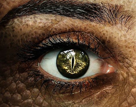 One way to tell if someone is a reptilian is by looking closely at their eyes. Crocodile Eyes, Reptile Eye, Crow Images, Yennefer Of Vengerberg, Between Two Worlds, Dragon Eye, Castle Rock, Psychic Reading, Photoshop Editing