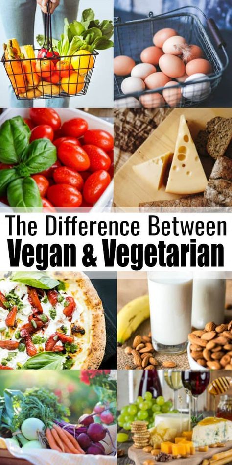 Vegetarian Vs Vegan Facts, Vegan Vs Vegetarian Facts, Difference Between Vegan And Vegetarian, Vegan Vs Vegetarian, Vegetarian Vs Vegan, Vegetarian Facts, What Is Vegan, Thrive Diet, Plant Diet