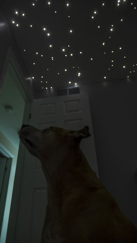 Couple creates mesmerizing fiber optic star ceiling based on their future daughter's due date | Mashable Fiber Optic Star Ceiling, Diy Bedroom Decor For Teens, Ceiling Stars, Bed Boy, Starry Ceiling, Star Lights On Ceiling, Star Lights, Star Ceiling, Diy Ceiling