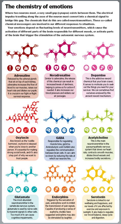 The science of emotions – How It Works Brain Facts, Medical Knowledge, Medical Education, Anatomy And Physiology, Mental And Emotional Health, Psychology Facts, Health Facts, Brain Health, Neuroscience