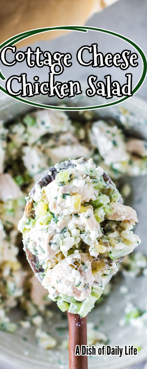 Cottage Cheese Chicken Salad is a game-changer for your lunchtime routine! It’s easy to make, is filling, tastes great, and is actually good for you too! #dishofdailylife #numstheword #cottagecheesechickensalad #chickensaladwithcottagecheese #chickensaladmadewithcottagecheese #chickensaladcottagecheese #healthychickenandcottagecheeserecipe #chickensaladrecipewithcottagecheese #cottagecheesechickensandwich #chickencottagecheesesalad #cottagecheesechicken #cottagecheesesalad Chicken Salad Recipe Cottage Cheese, Chicken Salad Made With Cottage Cheese, How To Make Cottage Cheese Taste Good, Carnivore Chicken Salad Recipe, Cottage Cheese Salad Dressing Recipes, Chicken Salad Variations, Carnivore Chicken Salad, Cottage Cheese Tuna Salad, Cottage Cheese Recipes Healthy Lunches