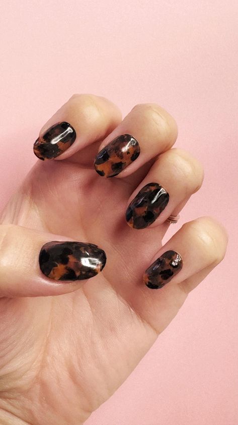 Tortie Nails, Tortoise Shell Nails, Shell Nails, Shop Press, Nails Brown, Orange Wood, Press Ons, Shell Ring, Nail Buffer