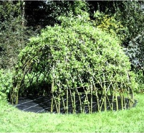 How-To-Make-A-Willow-Den I am making this when we move to the country. Willow Den, Living Willow, Patch Ideas, Garden Corner, Wendy House, Garden Inspo, Veggie Patch, Children's Garden, Playset Outdoor