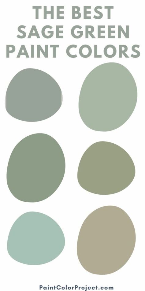 Green Gray Paint Colors, Green Gray Paint, Sage Palette, Green Exterior Paints, Green Scrapbook, Sherwin Williams Green, Sage Green Paint Color, Green Widget, Olive Green Paints