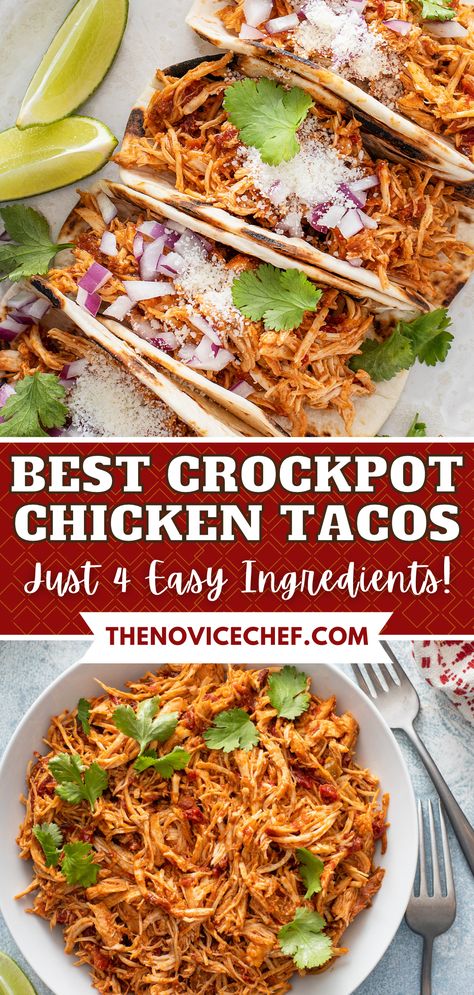 Make your Taco Tuesday even better, with this ultra-easy, super-flavorful recipe for Crockpot Chicken Tacos. Tender shredded chicken is seasoned to perfection and slow-cooked for the best taco filling ever! Chicken Crock Pot Tacos Slow Cooker, Rotel Chicken Tacos Crockpot, Healthy Crockpot Tacos, Chicken Taco Meat In Crockpot, Chicken Taco Crockpot Recipes Easy, Crockpot Chicken Tacos From Frozen, Crockpot Chicken Recipes Tacos, Slow Cooker Chicken Tacos 3 Ingredient, Cheesy Chicken Tacos Crockpot