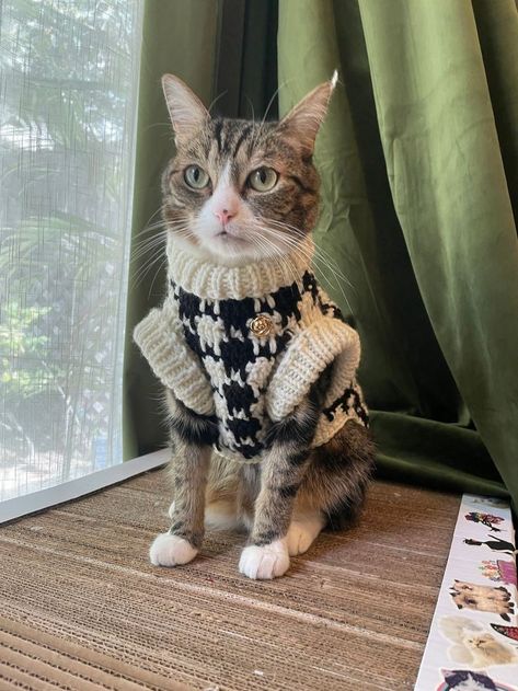 Cat Clothes Aesthetic, Houndstooth Clothes, Cute Cat Outfits, Cat Sweater Crochet Pattern, Crochet Cat Sweater, Cute Cat Clothes, Cats In Sweaters, Cat Sweater Pattern, Cat Outfits