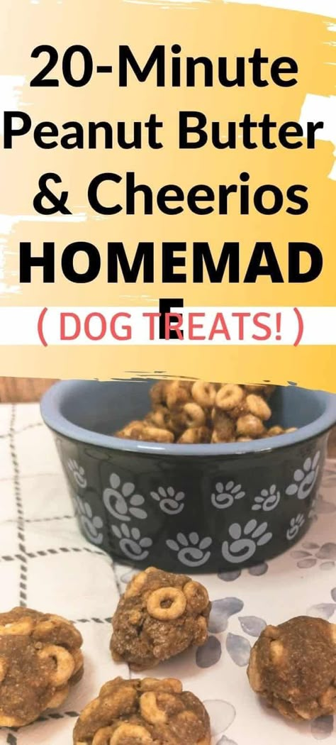 Peanut Butter Cheerios, Homemade Dog Food Vet Approved, Dog Treats Recipes, Apple Baby Food, Kong Recipes, Pet Recipes, Apple Treats, Sweet Potato Dog Treats, Animal Treats