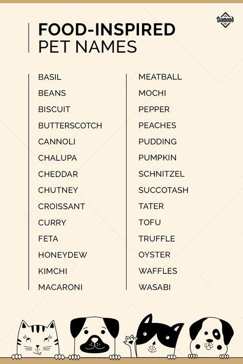 Did you just adopt a dog or cat and are wondering what to name them? Name your pet after something you love, like food! From Tofu and Feta to Mochi and Tater, check out these food-inspired pet names. #PetNames #NameIdeas Pet Names For Animals, Dog Names Food Related, Names For Hedgehogs, Touchbar Pet, Adopt Me Names For Pets, Cute Hedgehog Names, Aesthetic Adopt Me Pet Names, Cute Cat Names Aesthetic, Aesthetic Names For Cats