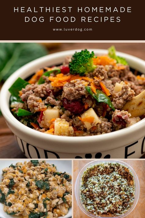 Top 4 Healthiest Homemade Dog Food Recipes All Natural Dog Food Recipes How To Make, Homemade Dog Food Vegetarian, Easy Crockpot Dog Food Recipes, Allergy Free Dog Food Recipes, Homemade Dog Food With Fruit, Kidney Dog Food Recipes, Good For Dogs To Eat, Recipes For Puppies, Beagle Food Recipes