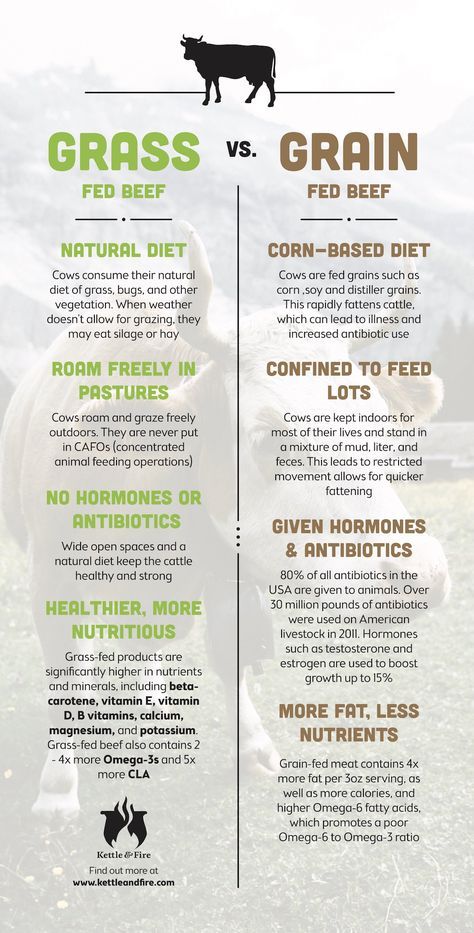 Grass Fed Beef Benefits, Beef Farming, Raising Cattle, Beef Cow, Raising Farm Animals, Grass Fed Meat, Estrogen Dominance, Beef Cattle, Cattle Ranching