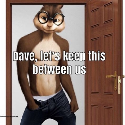 Alvinnn!!! And The Chipmunks, Funny Pix, Alvin And The Chipmunks, Goofy Pictures, Very Funny Pictures, Silly Pictures, Funny Reaction Pictures, Some Funny Jokes, Oui Oui