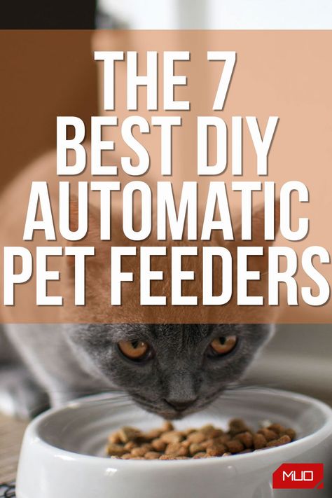 Keep your pet happy while you're away, and also save some cash, by building a DIY automatic pet feeder. Diy Cat Feeder, Diy Gravity Dog Feeder, Pet Feeder Diy, Cat Puzzle Feeder Diy, Cat Feeder Diy, Diy Automatic Dog Feeder, Automatic Pet Feeder Diy, Rabbit Feeder, Arduino Beginner