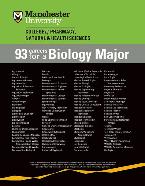 Why should I study biology? 93 potential careers for a Biology Major Why Should I Study, Biology Degree Aesthetic, Study Guide Biology, Biology University, Science Careers, Biology Major Aesthetic, Biology Careers Dream Job, Biology Careers, Careers In Biology