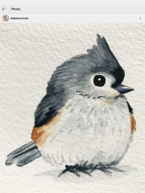 Watercolor Art Cute Animals, Simple Bird Watercolor, Easy Watercolor Birds For Beginners, Watercolour Birds Painting Easy, How To Draw Animal Faces, Watercolor Bird Art, Whimsy Art Ideas, Animal Watercolor Easy, Bird Painting Watercolor