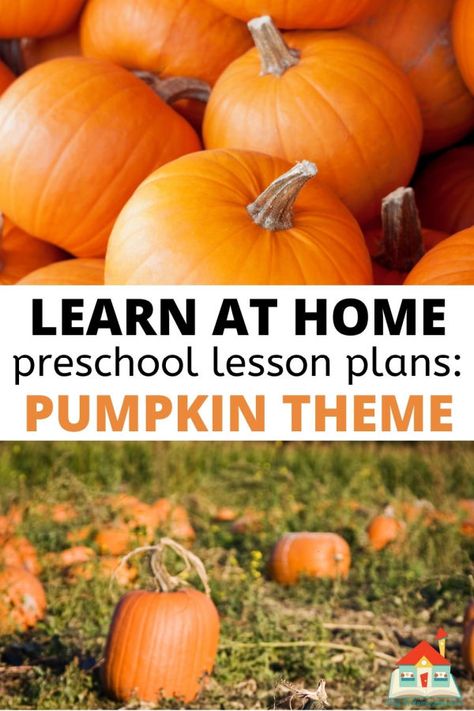 Dig into pumpkins with these free pumpkin-themed preschool lesson plans. With over 16 pumpkin themed activities, these hands-on and developmentally appropriate art, literacy, math, social, and more are great for your fall planning. Plus, they are available as a free download and require simple, everyday materials. Pumpkin Theme Preschool Lesson Plans, Pumpkin Investigation Preschool, Kindergarten Pumpkin Activities, Pumpkin Theme Preschool, Pumpkin Activities For Toddlers, Pumpkin Themed Activities, Appropriate Art, Pumpkin Activities Kindergarten, Pumpkin Science Activities