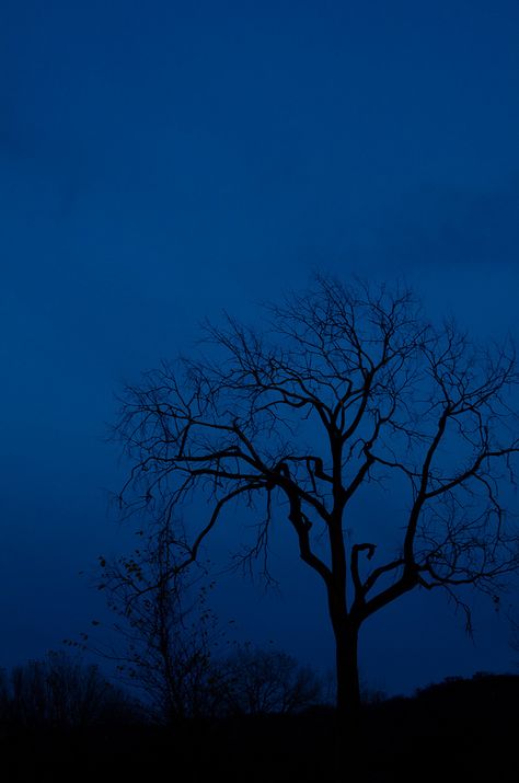 Blue Things Aesthetic, Navy Blue Asthetics, Blue Nature Aesthetic, Blue Black Aesthetic, Cool Blue Wallpaper, Dark Blue Art, Blue Hour Photography, Chungking Express, The Blue Hour