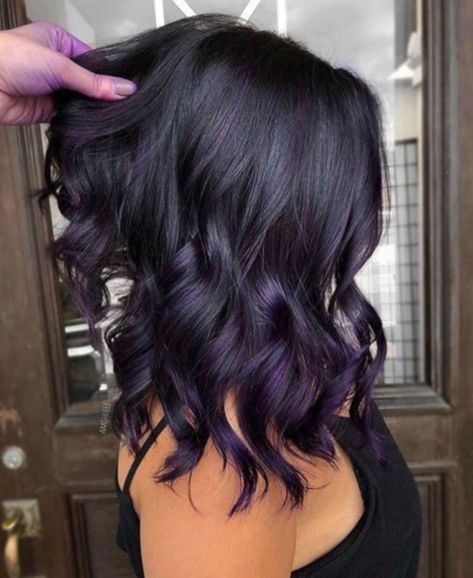 Eggplant Balayage Dark Brown, Black Hair With Purple Ombre, Dark Brown Hair Balayage Purple, Dark Brown And Violet Hair, Dark Brown To Purple Balayage, Purple Balayage On Dark Hair, Dark Purple Almost Black Hair, Hair Color Ideas For Brunettes With Purple Highlights, Black With Violet Highlights