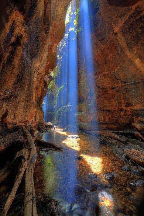 Sun rays shining on Rocky Creek Canyon in Blue Mountains, Australia Blue Mountains Australia, Blue Mountains, Hobart, Blue Mountain, Australia Travel, Railing, Natural Wonders, Beautiful World, Beautiful Landscapes