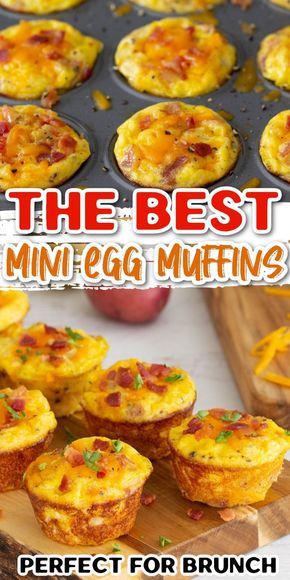 Tatertot Egg Muffins, Breakfast Keish Recipe Eggs, Mini Egg Bites Recipe, To Go Egg Breakfast, Mini Muffin Tin Breakfast Recipes, Baked Eggs In Muffin Tin With Bacon, Mini Muffin Tin Egg Bites, Mini Egg Quiches In Muffin Tin, Mini Muffin Pan Egg Bites