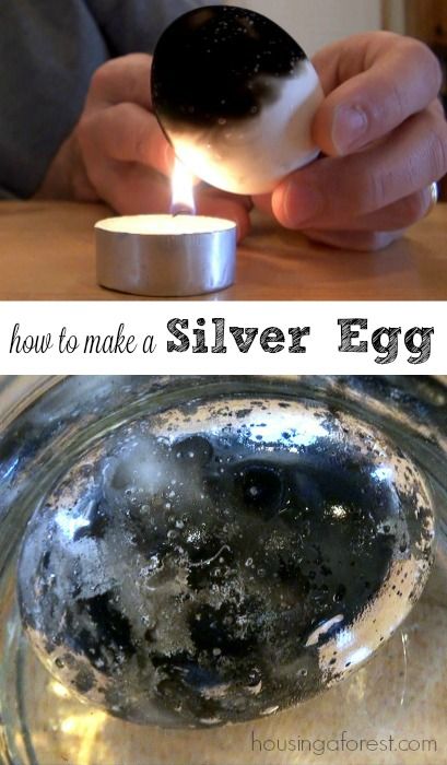 Silver Egg Experiment | Housing a Forest Science Experiments Adults, Science Experiments With Eggs, Science Experiments For Adults, Successful Egg Drop Project Ideas, Science Experiments For Teens, Egg Science, Egg Experiment, Vetenskapliga Experiment, Anatomy Biology