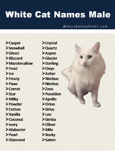 That’s why we’ve compiled a list of the best white cat names to help inspire you. From classic and elegant to quirky and fun, we’ve ... Read more The post 150 + Best White Cat Names appeared first on Vocabulary Point. Cat Names For White Cats, Korean Cat Names, Gray Cat Names, Cats Names Ideas, Cartoon Names, Cat Names Aesthetic, Kawaii Names, Cat Name Ideas, Grey Cat Names