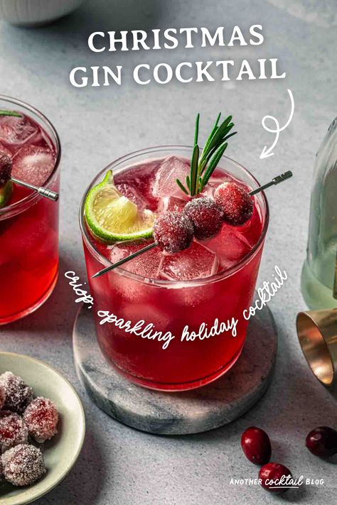 Made with cranberry juice, maple syrup and a splash of ginger beer, this Christmas gin cocktail is crisp and refreshing. We've garnished it with fresh rosemary and sugared cranberries for a festive, vibrant cocktail that will be the hit of your holiday gathering. Cranberry Gin Spritz, Holiday Cocktails Gin, Christmas Gin Cocktails Recipes, Gin Cranberry Cocktail, Red Christmas Cocktails, Gin Winter Cocktails, Christmas Gin Drinks, Cranberry Ginger Ale Cocktail, Christmas Cocktails Gin