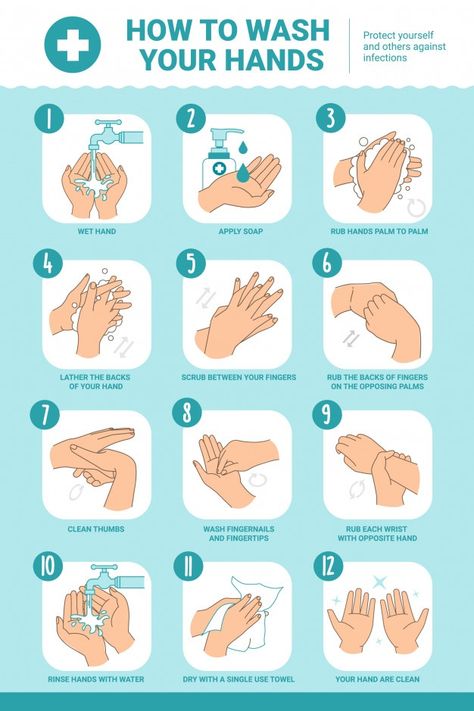 Hand Hygiene Posters, Food Safety Posters, Global Handwashing Day, Education Infographics, Hands Vector, Hand Washing Poster, Proper Hand Washing, Foot Reflexology Massage, Educational Infographic