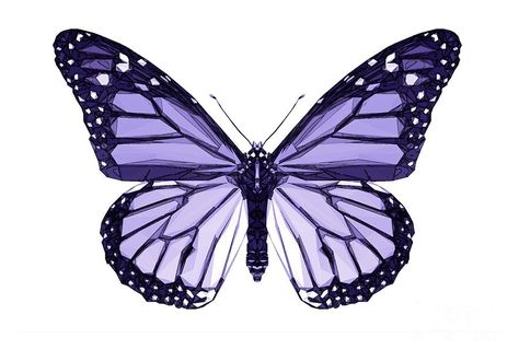 Purple Png Aesthetic, Purple Butterfly Aesthetic, Interesting Bugs, Purple Butterfly Tattoo, Purple Png, Butterfly Aesthetic, Blue Butterfly Wallpaper, Lavender Butterfly, Rune Tattoo