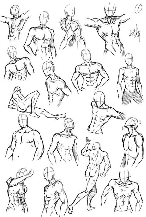 male poses ideas for art Drawing Poses Male, Human Body Drawing, Drawing Body Poses, Sketch Poses, Body Sketches, Human Anatomy Drawing, Tutorials Drawing, Human Anatomy Art, Anatomy Sketches