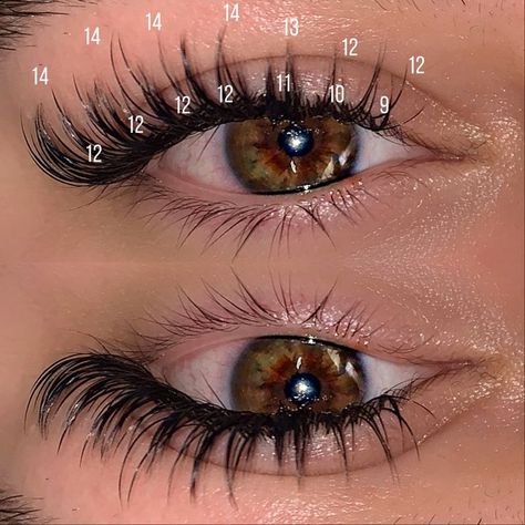 WISPY WET SET LASH MAP in 2022 | Lashes fake eyelashes, Lash extensions makeup, Perfect eyelashes Wispy Wet Set, Eyelash Studio, Lash Map, Natural Fake Eyelashes, Lashes Fake Eyelashes, Wispy Eyelashes, Lash Extensions Makeup, Eyelash Technician, Wet Set