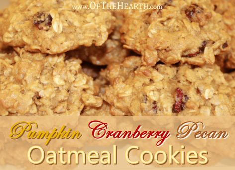 Oatmeal Cranberry Pecan Cookies, Cranberry Pecan Oatmeal Cookies, Pecan Oatmeal Cookies, Benefits Of Oatmeal, Cookie Delight, Pecan Oatmeal, Savory Pumpkin, Cookie Recipes Oatmeal Raisin, Pumpkin Oatmeal Cookies