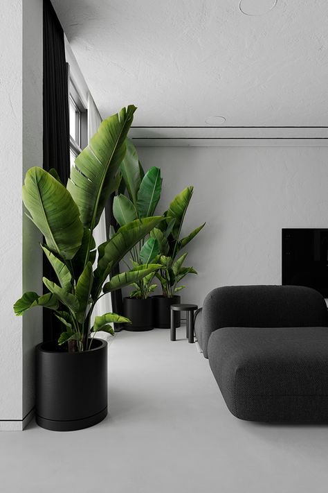 mmz1h on Behance Modern Home Decor With Plants, Modern Living Room With Plants, Vase Decorating Ideas Living Room, Plants In Living Room, Plant Studio, Plants Living Room, Plantas Interior, Living Room Plants, Future Apartment Decor