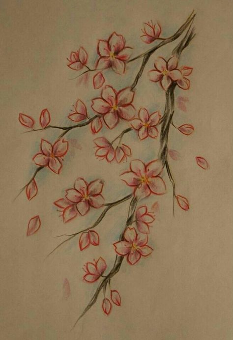 Flower Drawing Cherry Blossom, Cheery Blossoms Drawing Simple, Cherry Blossom Simple Drawing, Asian Drawing Sketch, Tree Flowers Drawing, How To Draw Cherry Blossoms, Japanese Flower Drawing, Sakura Tree Drawing, Cherry Blossom Tree Drawing