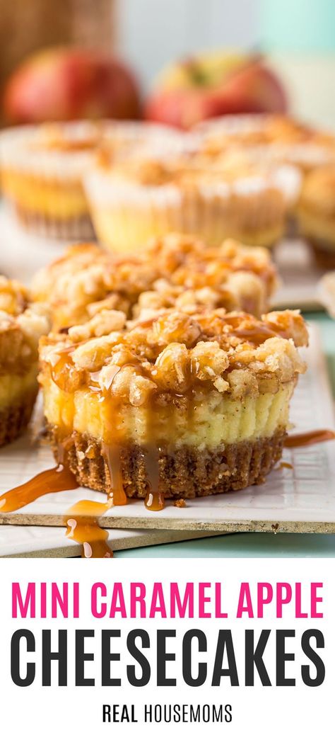 Caramel Apple Cheesecakes, Carmel Apple Mini Cheesecakes, Caramel Apple Cheesecake Cupcakes, Apple Crumble Mini Cheesecake, Apple Crumble Cheesecake Cupcakes, Mini Caramel Apple Cheesecakes, Carmel Apple Cheesecake Bites, Apple Caramel Cheesecake Bars, Dessert Cheesecake Cups