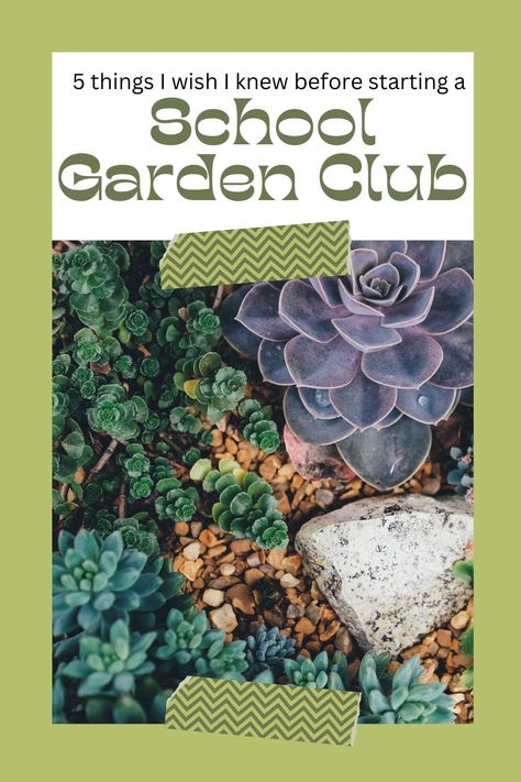 In this video I discuss 5 things I wish I knew before starting a school garden club. I hope you find this video helpful & please let me know all of your questions in the comment section. School Garden Club Activities, Garden Club Ideas, School Garden Aesthetic, School Garden Signs Ideas, School Garden Ideas, School Reading Garden Outdoor, School Garden Club, Community Garden, School Garden