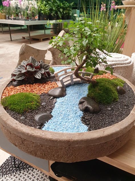 Fairy Zen Garden, Bonsai Fairy Garden, Mini Bonsai Garden, Cactus Fairy Garden, Dish Garden Ideas Plants, Japanese Terrarium Miniature Zen Garden, Dish Garden Ideas, Mini Zen Garden Design, Mini Zen Garden Ideas