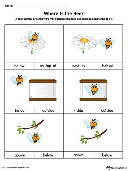 Positional Words Worksheet: On Top Of, Next To, Behind, Inside, Outside, Above, Below (Color) Worksheet.Use the correct positional word to describe the position of the bee in this preschool positional word worksheet. Positional Words Worksheet, Preschool Math Curriculum, Positional Words, Kindergarten Math Worksheets Addition, Daily Routine Activities, Counting Activities Preschool, Occupational Therapy Kids, Insect Activities, Free Kindergarten Worksheets